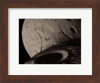 Trojan Asteroid Hektor Fine Art Print