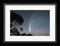 Comet McNaught P1 Fine Art Print
