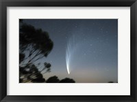 Comet McNaught P1 Fine Art Print