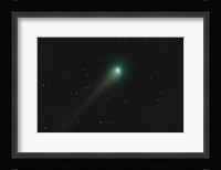 Comet Holmes Fine Art Print