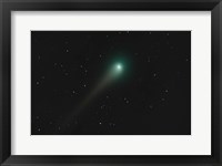 Comet Holmes Fine Art Print