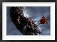 Deep Impact's Encounter with Comet Tempel 1 Fine Art Print