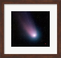 Image of comet C/2001 Q4 (NEAT) Fine Art Print