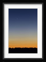 Comet Panstarrs at twilight,  Buenos Aires, Argentina Fine Art Print
