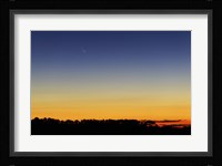 Comet Panstarrs I Fine Art Print