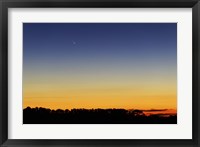 Comet Panstarrs I Fine Art Print