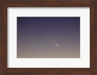 Comet Panstarrs II Fine Art Print