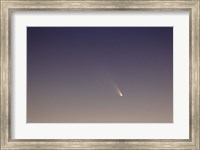 Comet Panstarrs II Fine Art Print