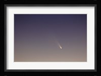 Comet Panstarrs II Fine Art Print