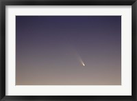 Comet Panstarrs II Fine Art Print