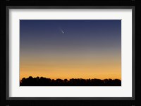 Comet Panstarrs III Fine Art Print