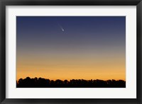 Comet Panstarrs III Fine Art Print