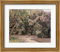 Lilac Trees Fine Art Print