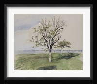 Honfleur, Garden With Two Fruit Trees, Seaside, 1864 Fine Art Print
