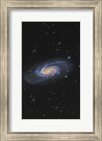 NGC 2903 is a barred spiral galaxy in the Constellation of Leo Fine Art Print