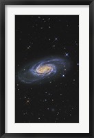 NGC 2903 is a barred spiral galaxy in the Constellation of Leo Fine Art Print