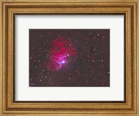 IC 405, The Flaming Star Nebula in the Constellation Auriga Fine Art Print