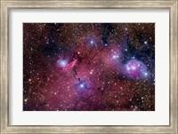 NGC 6559 is a rich colorful tapestry of diverse nebulosity in the Constellation Sagittarius Fine Art Print