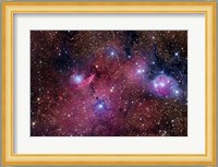 NGC 6559 is a rich colorful tapestry of diverse nebulosity in the Constellation Sagittarius Fine Art Print