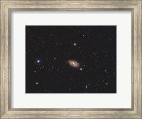 Messier 109, a barred spiral galaxy in the Constellation Ursa Major Fine Art Print