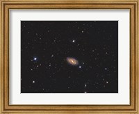 Messier 109, a barred spiral galaxy in the Constellation Ursa Major Fine Art Print