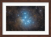 The Pleiades, an open star cluster in the Constellation of Taurus Fine Art Print