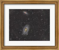Cigar Galaxy and Bode's Galaxy in the Constellation Ursa Major Fine Art Print
