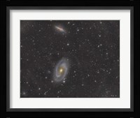 Cigar Galaxy and Bode's Galaxy in the Constellation Ursa Major Fine Art Print