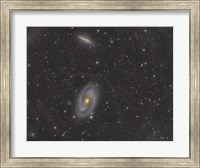 Cigar Galaxy and Bode's Galaxy in the Constellation Ursa Major Fine Art Print