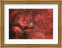 The Sadr region in the Constellation Cygnus Fine Art Print
