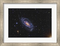 NGC 5033, a spiral galaxy situated in the Constellation of Canes Venatici Fine Art Print