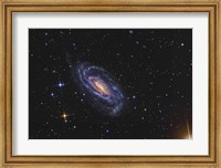 NGC 5033, a spiral galaxy situated in the Constellation of Canes Venatici Fine Art Print