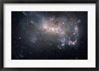 Magellanic dwarf irregular galaxy NGC 4449 in the Constellation Canes Venatici Fine Art Print