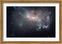 Magellanic dwarf irregular galaxy NGC 4449 in the Constellation Canes Venatici Fine Art Print