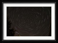 Star Trails around Polaris in the Constellation Ursa Minor Fine Art Print