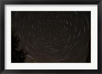 Star Trails around Polaris in the Constellation Ursa Minor Fine Art Print