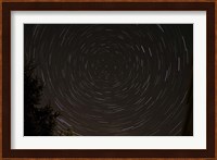 Star Trails around Polaris in the Constellation Ursa Minor Fine Art Print