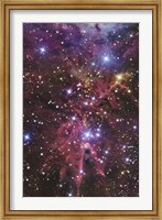 A stellar nursery located towards the Constellation of Monoceros Fine Art Print