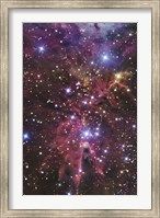 A stellar nursery located towards the Constellation of Monoceros Fine Art Print