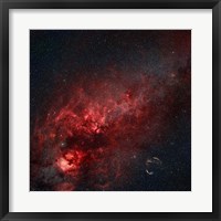 Constellation Cygnus with multiple nebulae visible Fine Art Print