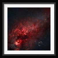 Constellation Cygnus with multiple nebulae visible Fine Art Print