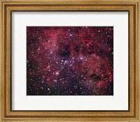 IC 410 emission Nebula in Auriga Fine Art Print