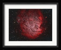 NGC 2174, the Monkey Head Nebula with IC 2159 Nebulosity Fine Art Print