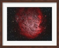 NGC 2174, the Monkey Head Nebula with IC 2159 Nebulosity Fine Art Print