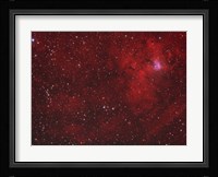 Emission Nebula iin Perseus Fine Art Print