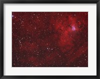 Emission Nebula iin Perseus Fine Art Print