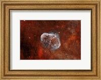Crescent Nebula with Soap-Bubble Nebula I Fine Art Print