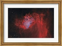 Flaming Star Nebula II Fine Art Print