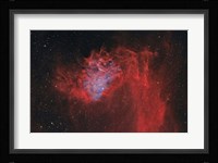 Flaming Star Nebula II Fine Art Print