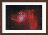 Flaming Star Nebula II Fine Art Print